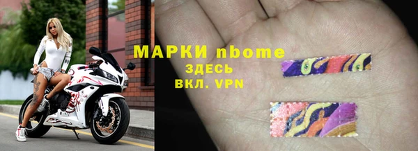 индика Зеленодольск