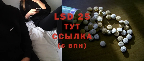 индика Зеленодольск