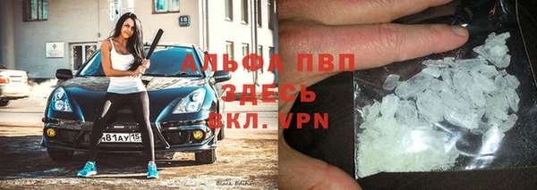 индика Зеленодольск