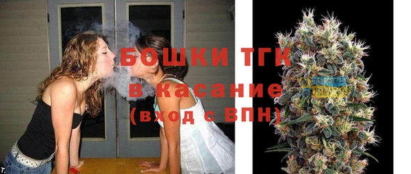 индика Зеленодольск