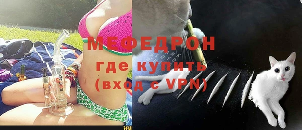 индика Зеленодольск