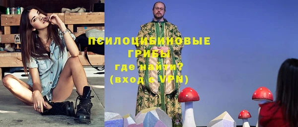 индика Зеленодольск