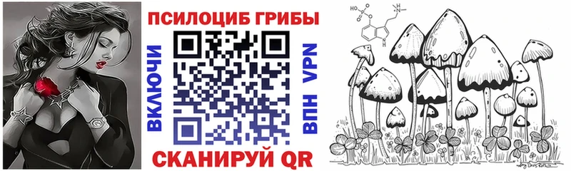 купить  цена  маркетплейс как зайти  Галлюциногенные грибы Cubensis  Сельцо 